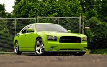   Dodge Charger     